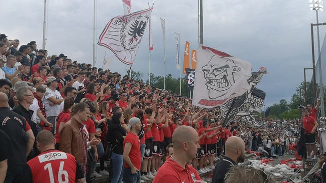 Gibts am kommenden Sonntag einen neuen Zuschauerrekord? Den Match gegen Rapperswil-Jona verfolgten 6958 Fans.