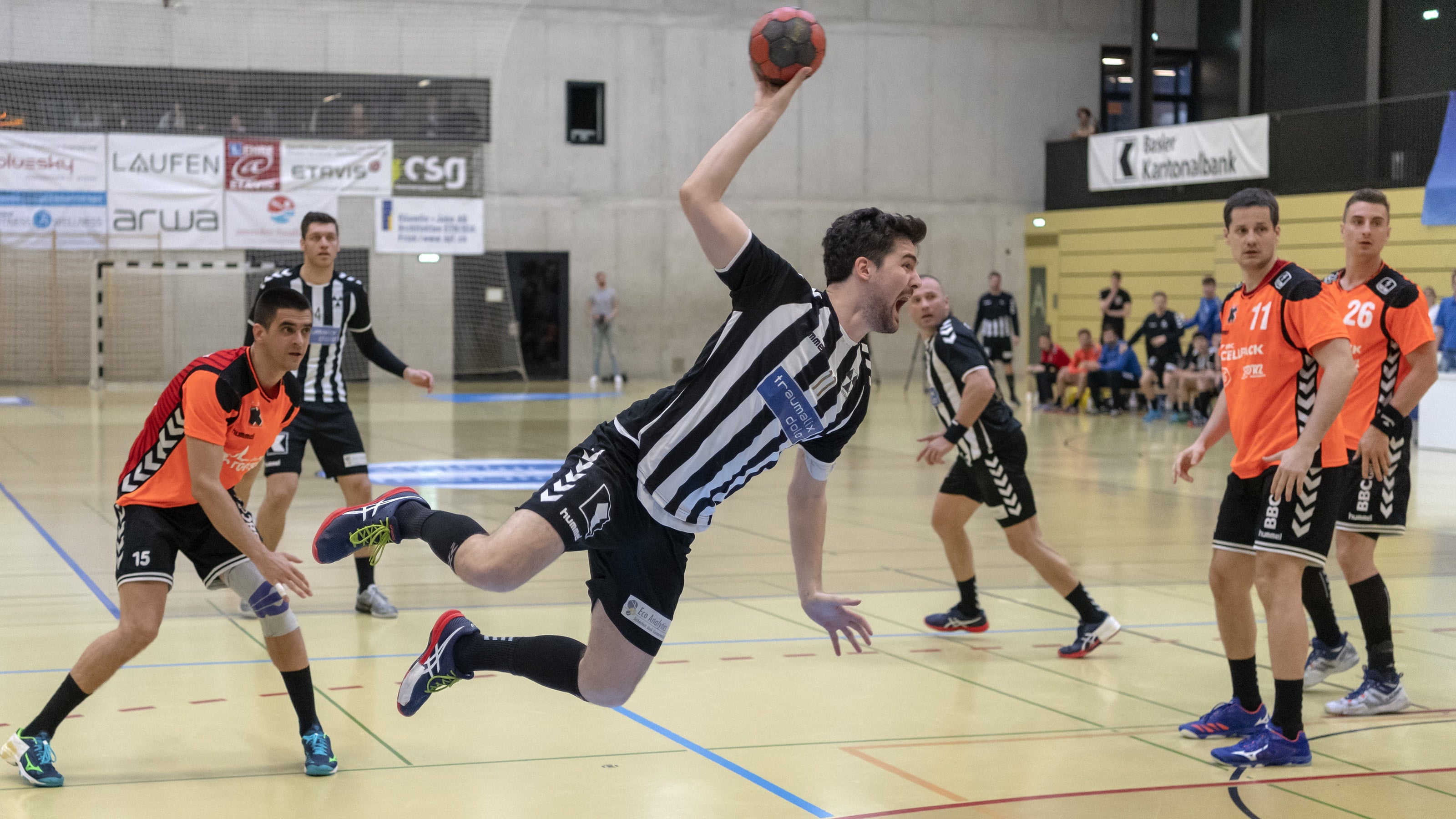 Handball NLA