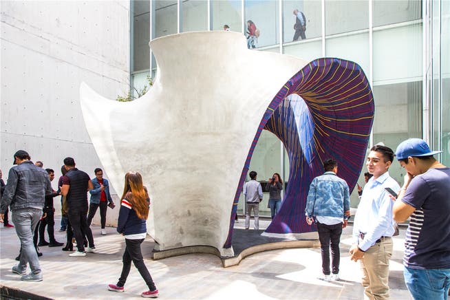 Innen gestrickt, aussen betoniert: Das Schlusswerk der Zürcher steht nun an einer Architekturausstellung in Mexiko City. ETH Zürich