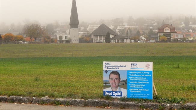 Ein einsames Wahlplakat steht auf der Dorfwiese.