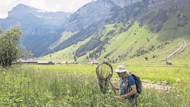 Durch mehrere Initiativen rückt der Landschaftsschutz in den Fokus. Das Bild zeigt einen Schmetterlingsforscher im Einsatz.