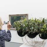 «Blumen für die Kunst»: Kunsthaus erwartet Besucherrekord
