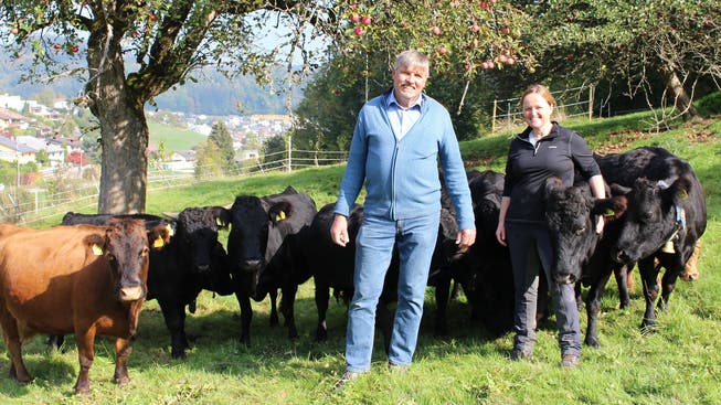 Silvia und Andreas Honegger pflegen seit Anfang Jahr 700 Kirschbäume und diese Kuhherde.