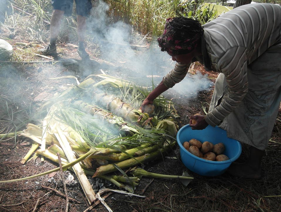 Das Leben der Grenchner Familie Sommer in Papua Neuguinea Das traditionelle „Mumu“ – Niederdampfgaren im Erdloch…