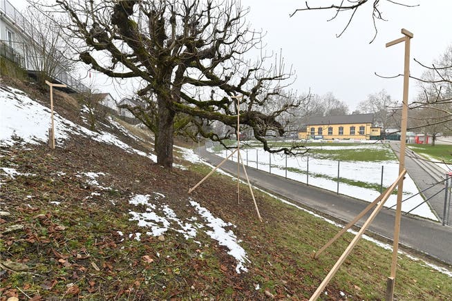 Am Schützenmattweg in Olten ist zur Wärmegewinnung der Bau eines Grundwasserpumpwerks der AEW Energie AG geplant.