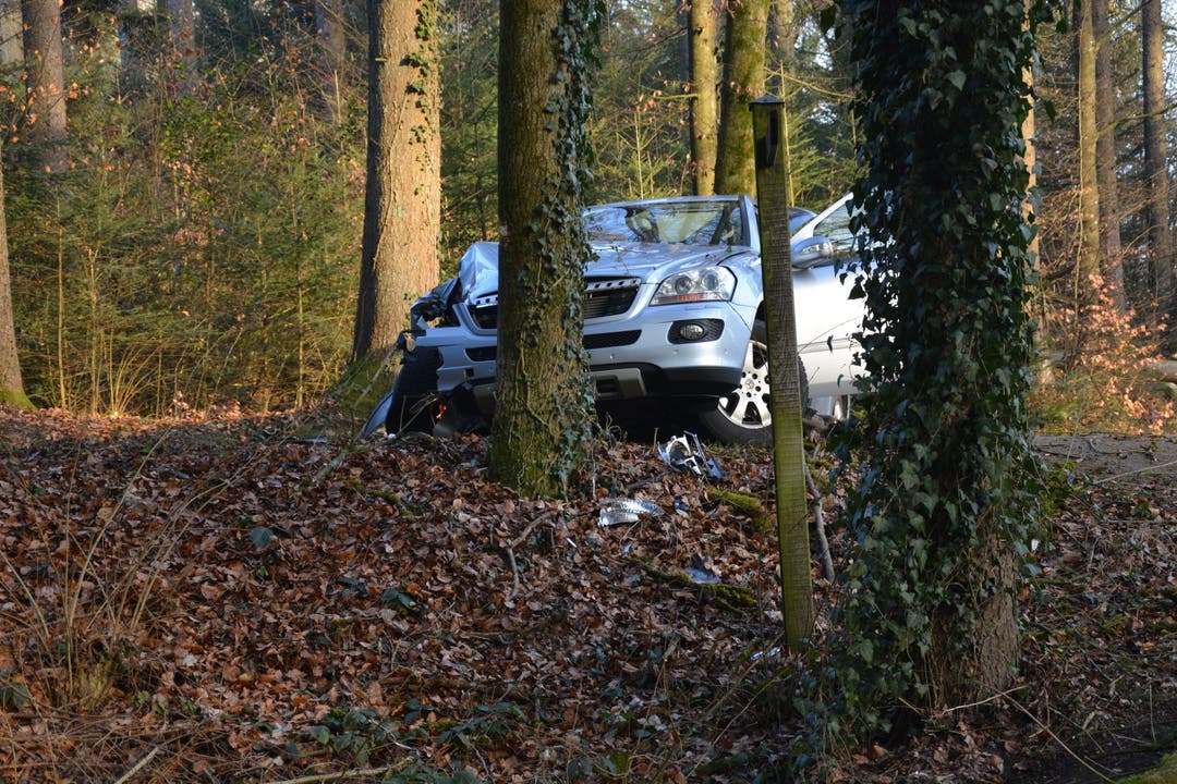 Gretzenbach SO, 26. Februar: Automobilist weicht entgegenkommendem Kleinwagen aus und prallt in Baum. Der Verunfallte zog sich leichte Verletzungen zu. Der Lenker des Kleinwagens fährt ohne Hilfeleistung weiter.