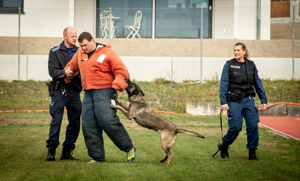 Gin Polizeihundeprüfung Solothurn