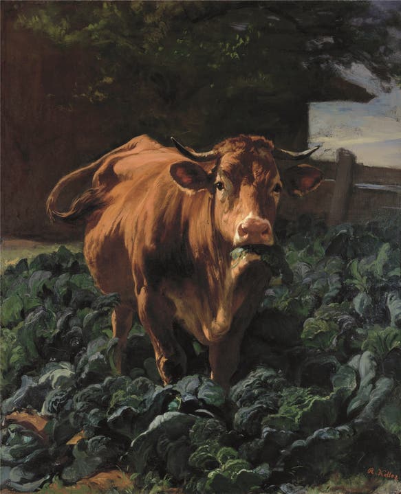 Die Kuh als Persönlichkeit: Rudolf Kollers «Kuh im Krautgarten» von 1857/1858 (Ausschnitt).