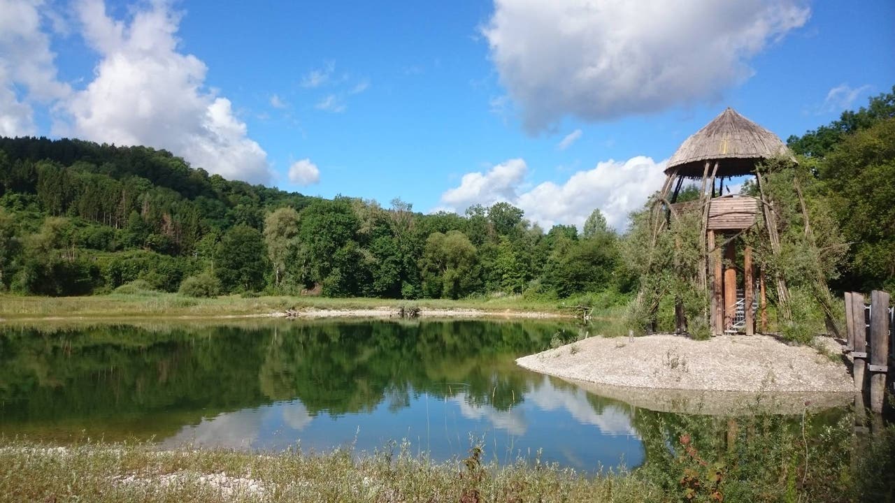 Das Auenschutzgebiet Chly Rhy in Rietheim – ein Naturparadies.