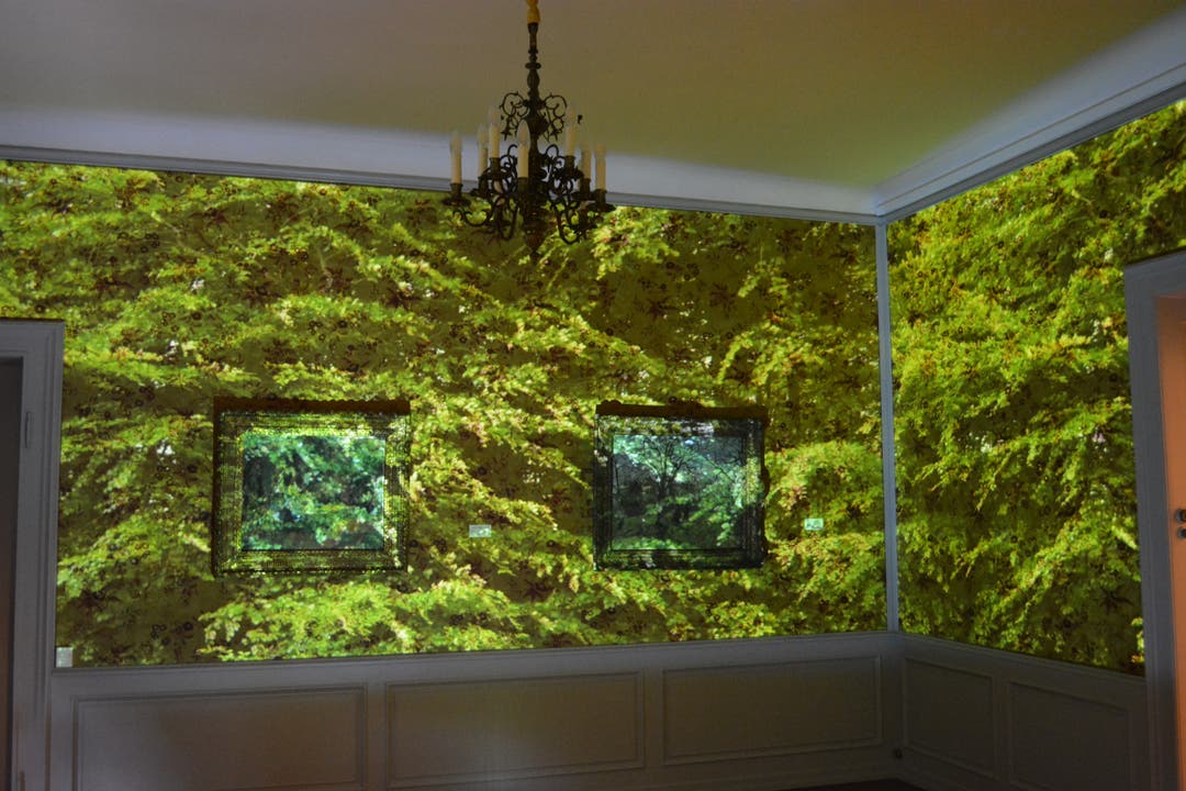 Vernissage Sanatorium Langmatt Mit Videoprojektionen holen die Künstler die Natur in die Villa und lassen die Besucher die Ruhe der Wälder geniessen.