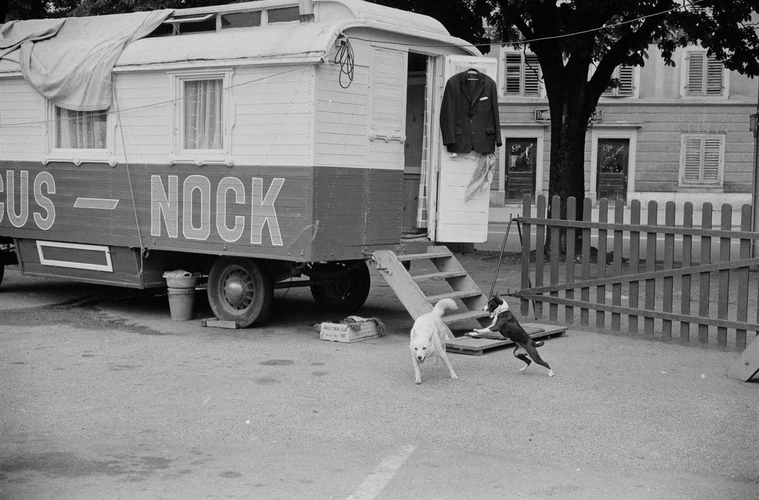 Zirkus Nock in Solothurn, 1961.