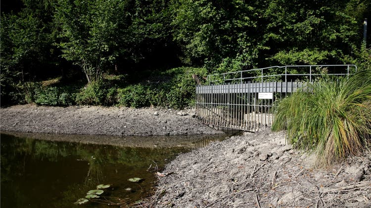 Reidbachweiher trocknet wegen Hochwassertest aus