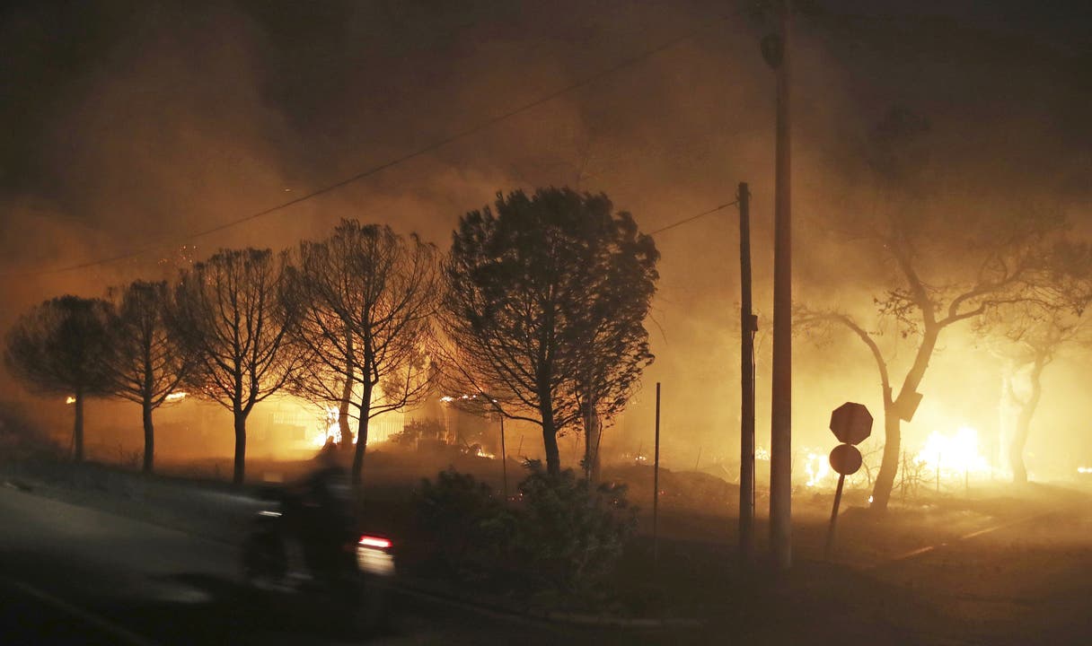 Schwere Brände in Griechenland: Mindestens 50 Tote