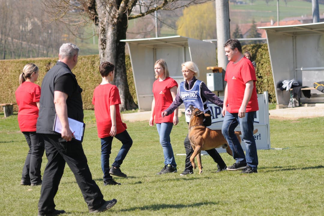 Leistungshunde-Wettkampf Brigitte Honegger muss mit Falk durch eine Personengruppe laufen.