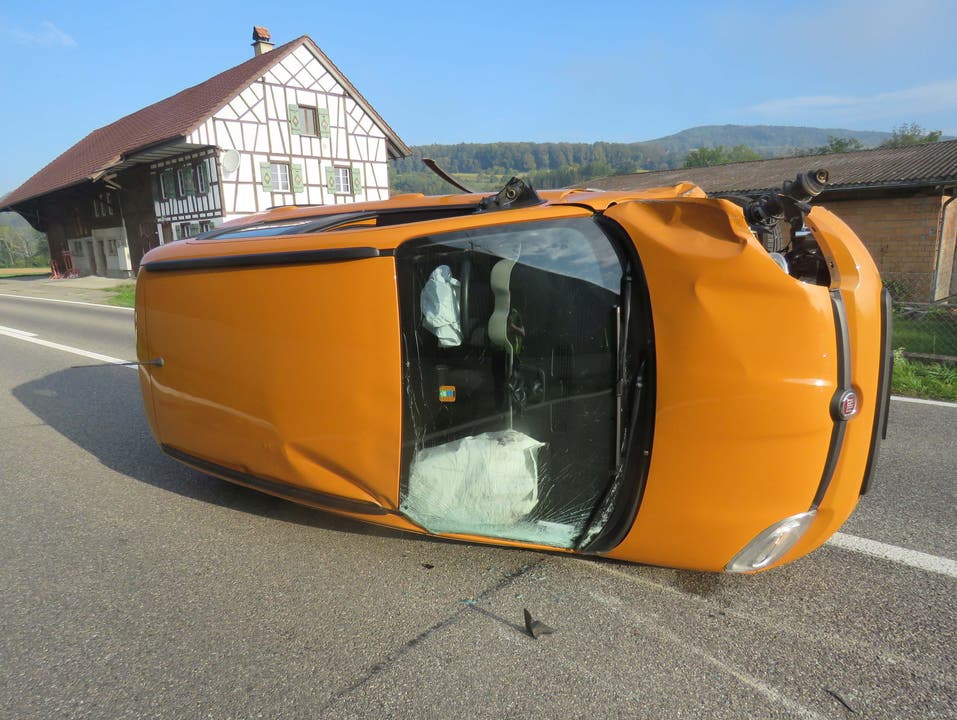 Rümikon AG, 18. September Eine Frau verlor wegen eines Insekts im Auto die Kontrolle über ihr Auto und kollidierte seitlich mit einem entgegenkommenden Fahrzeug. Dabei wurde auch eine Lärmschutzwand beschädigt.