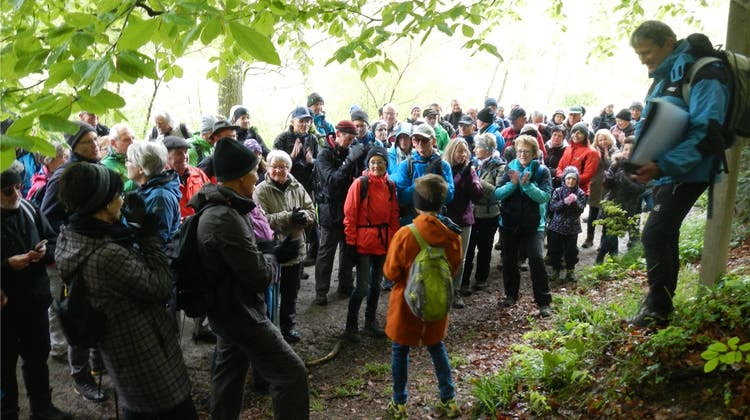 «So etwas funktioniert nur im Bucheggberg»: 130 Wanderer trotzen der Kälte