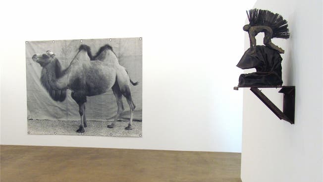 «Kamel» von Balthasar Burkhard, rechts ein Objekt von Franz Eggenschwiler.