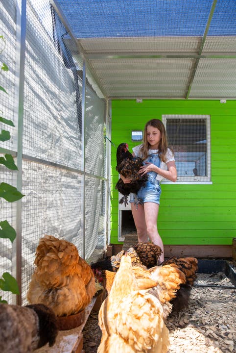 Zu Besuch bei Familie Steiner Riana (9) füttert heute die Hühner im Garten neben dem Haus.