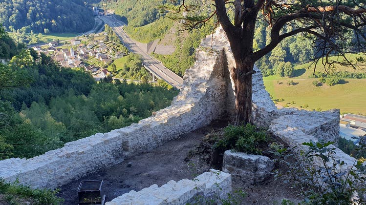 Sanierung der Ruine Witwald als Modellfall für zukünftige Burgsanierungen