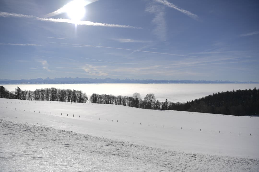 Winterspass im Februar 2019 auf dem Grenchenberg Das Nebelmeer über dem Mittelland.