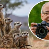 Von der Kalahari-Wüste bis nach Alaska: Aargauer Fotograf Rudolf Hug reist für Tierbilder um die Welt