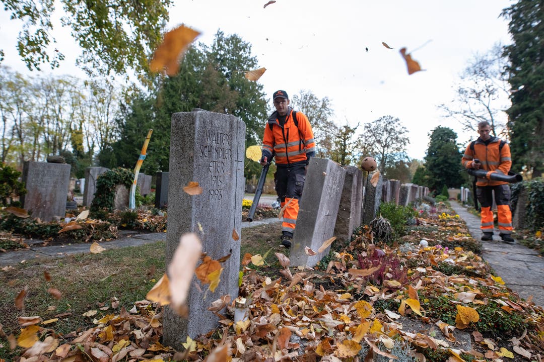Arbeitsalltag an einem Ort der Trauer: Für den Gedenktag bringen die Gärtner den Friedhof wieder auf Vordermann.