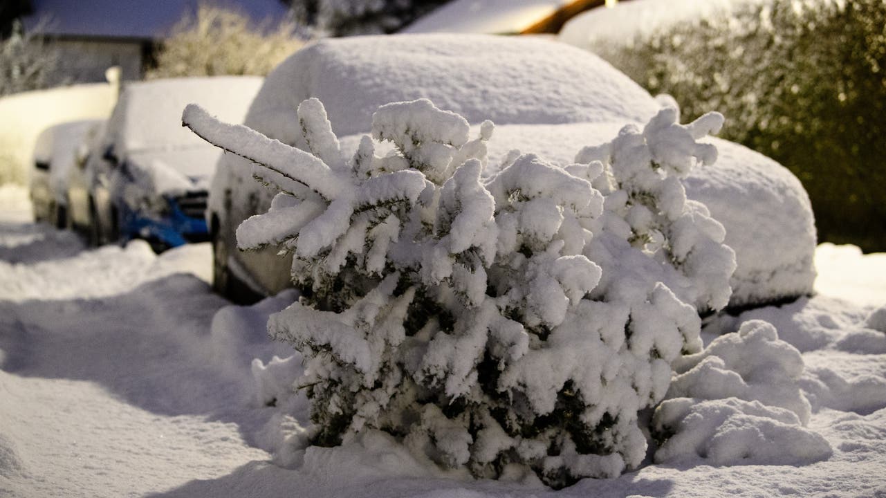 München in weiss: In Bayern und in Teilen Österreichs hat es in den vergangenen Tagen stark geschneit.