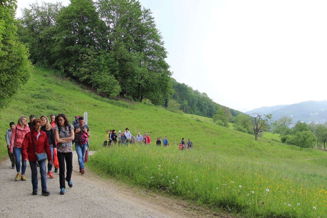 Rund 100 Wanderer haben an der Jubiläums-Wanderung teilgenommen.