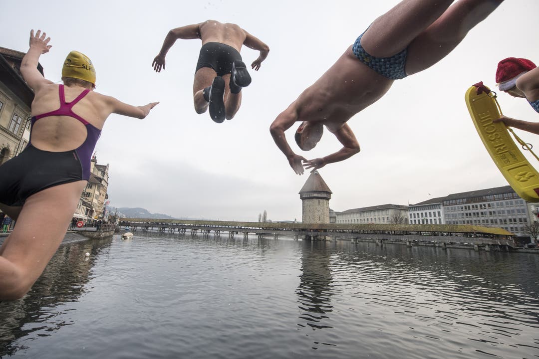 In Luzern sprangen rund 40 abgehärtete Schwimmerinnen und Schwimmer in die Reuss