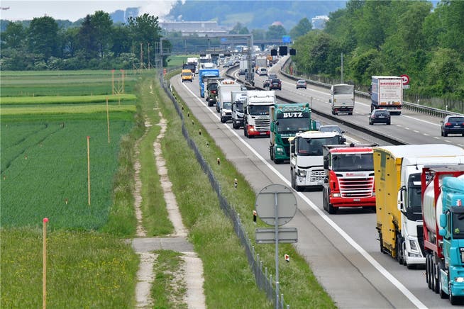 Letzten Sommer waren bereits die Profile für den A1-Ausbau zwischen Härkingen und Luterbach zu sehen – ohne die geforderte Untertunnelung. Bruno Kissling