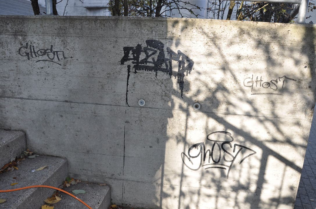 Unbekannte haben am Wochenende zahlreiche Graffitis und Schmierereien in Balsthal und Matzendorf angebracht.