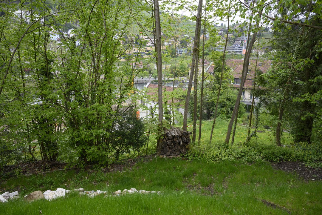 Der verwildete Ochsenpark oberhalb des einstigen Parkhauses, das im Rahmen der Bauarbeiten für das neue Thermalbad abgebrochen wurde.