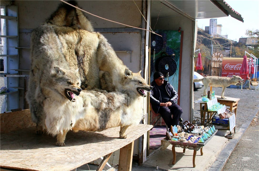 Auf dem Markt von Sewanawank zeigen die Wölfe ihre Zähne.