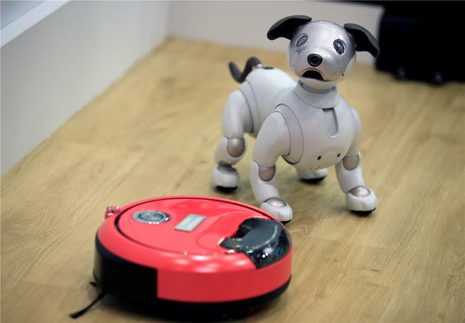Neue, digitale Welt: Der Spielzeug-Roboter in Hundeform aus dem Hause Sony beobachtet neugierig den Staubsauger von Hitachi an einer Elektronikfachmesse in Japan.FRANCK ROBICHON/EPA/Key