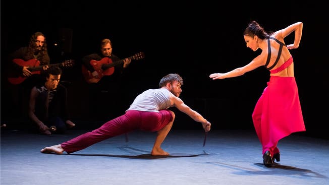Zwei Choreografien von Brigitta Luisa Merki und David Coria machen «Mosaico» in der Alten Reithalle Aarau zu einem Erlebnis.