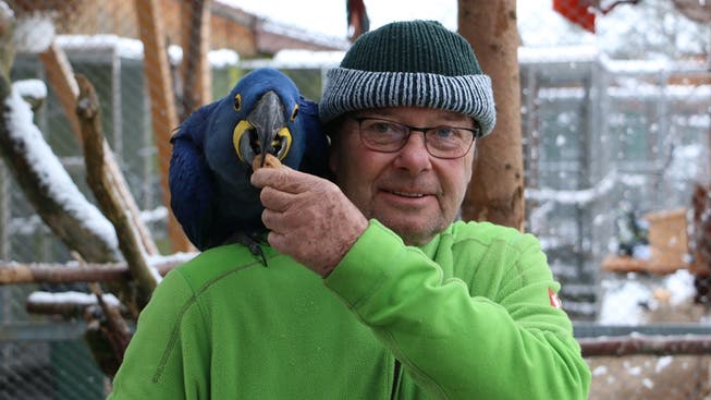 Aras sind seine Leidenschaft: Rolf Lanz, Leiter des Vogelparks Ambigua.