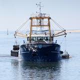Französische Fischer: "Muschelkrieg" im Ärmelkanal beendet