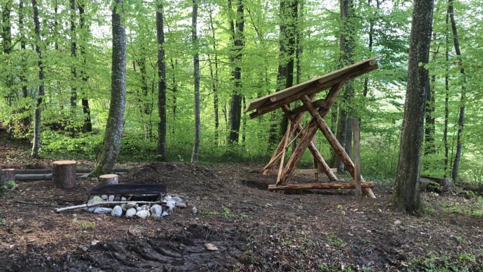 Eine neue Waldschaukel für den Schlossruederwald. Urs Riedo