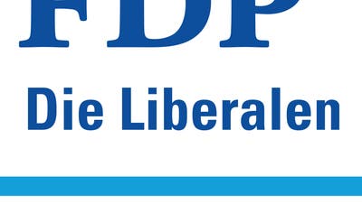 Fraktionsbericht der FDP Wettingen