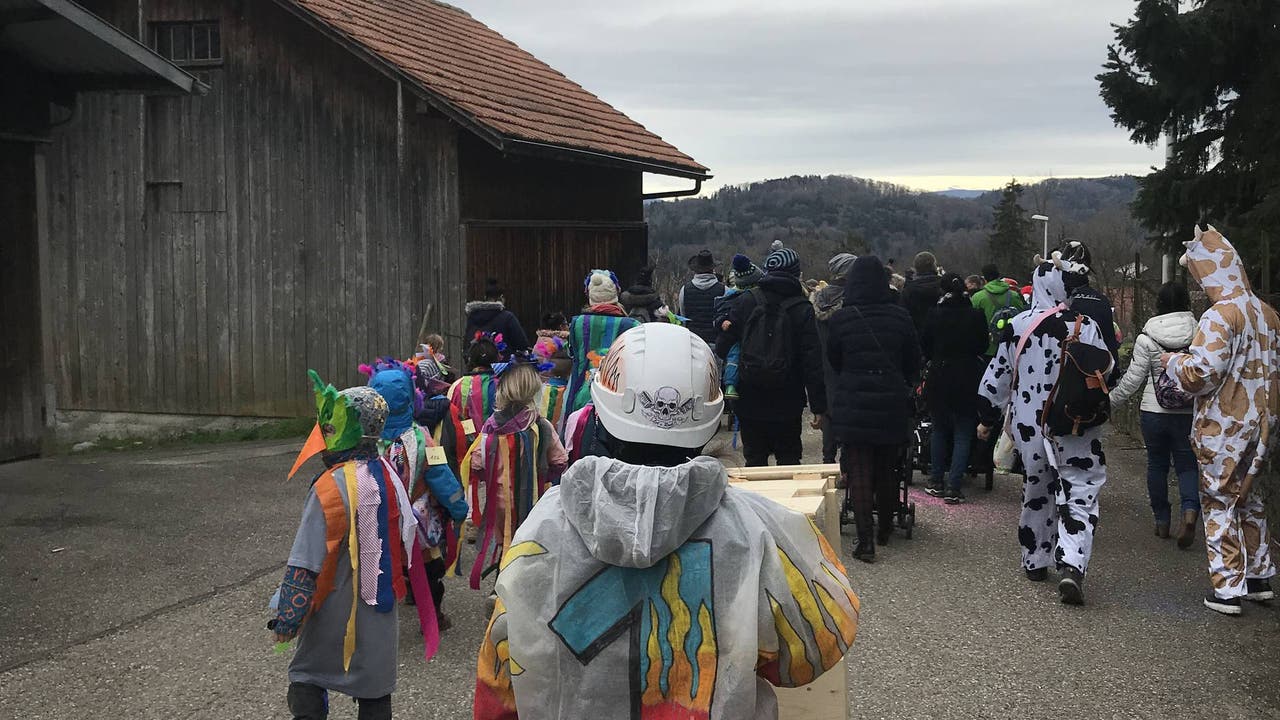 Kinderfasnachtsumzug Bergdietikon 2019