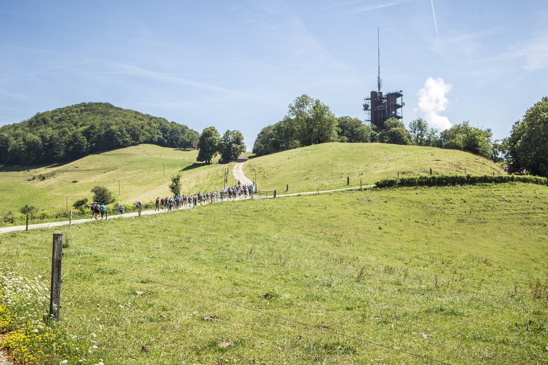 AZ Leserwandern 2018, 9. Etappe, Trimbach In der neunten Etappe ging es von Trimbach auf die Frohburg und zum Schloss Wartenfels. Eine Wanderung mit vielen schönen Aussichten.