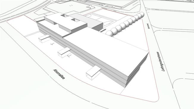Die Visualisierung verdeutlicht, dass es auf der stadteigenen Parzelle im Kleinholz ausreichend Platz für ein neues Schulhaus mit Dreifachturnhalle hat.