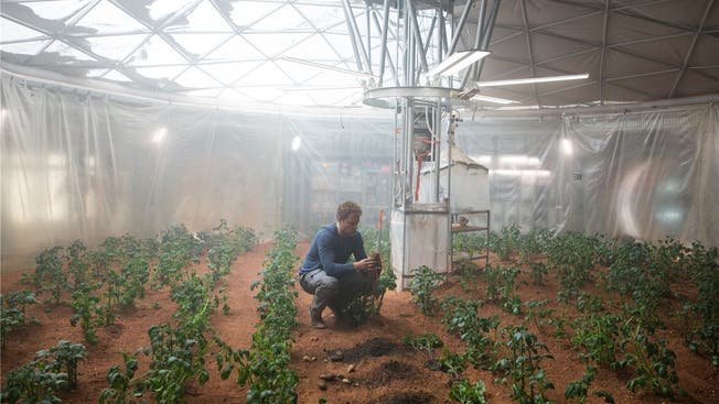 Auf einer Mischung von Marsstaub und menschlichen Fäkalien baut Matt Damon im Film «Der Marsianer» Kartoffeln an.