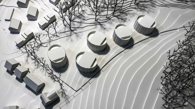 «Unkonventionell und mutig»: Das neue Buechloch-Projekt sieht fünf ovale Gebäude mit je drei Stockwerken vor.