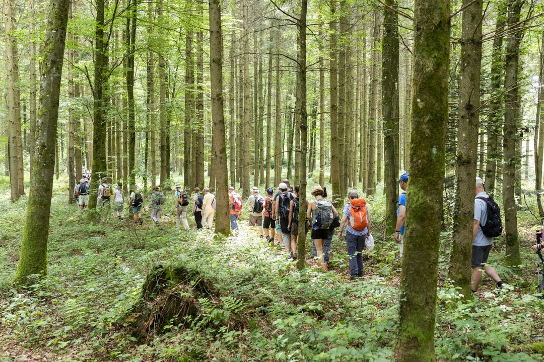 Leserwandern 2018 von Lohn-Lüterkofen nach Lüterswil Die schattigen Wälder waren den Wanderinnen und Wandern willkommen. An diese Tag herrschten sommerliche 29 Grad.