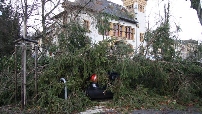 Sturm Burglind sorgte in den ersten Januartagen 2018 für Schäden – wie an diesem Auto vor dem Solothurner Konzertsaal.