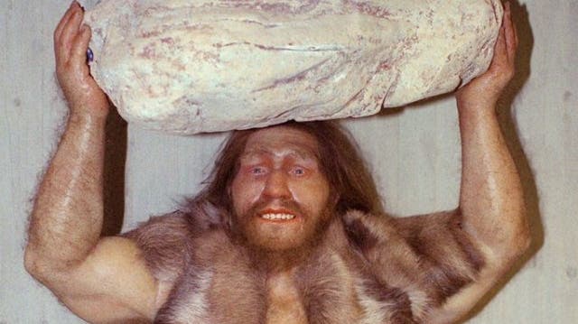 Naturhistorisches Museum Basel beweist: Neandertaler waren doch Feinmotoriker