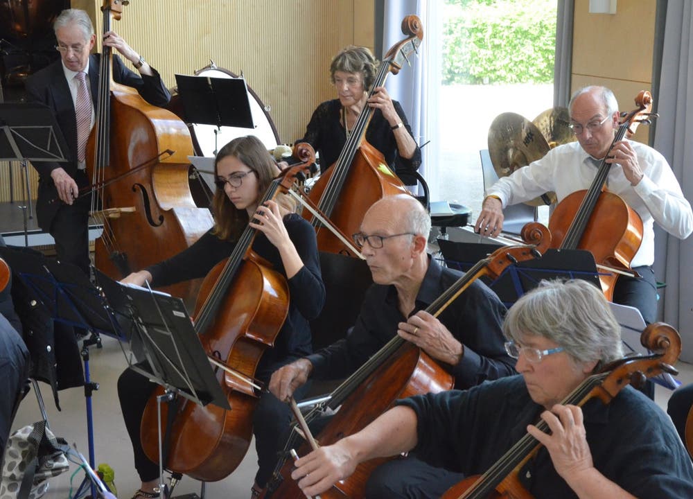 Celli und Bässe 26 Mai 2019: Britten, Bartok und Beethoven in der Kurbrunnenanlage in Rheinfelden