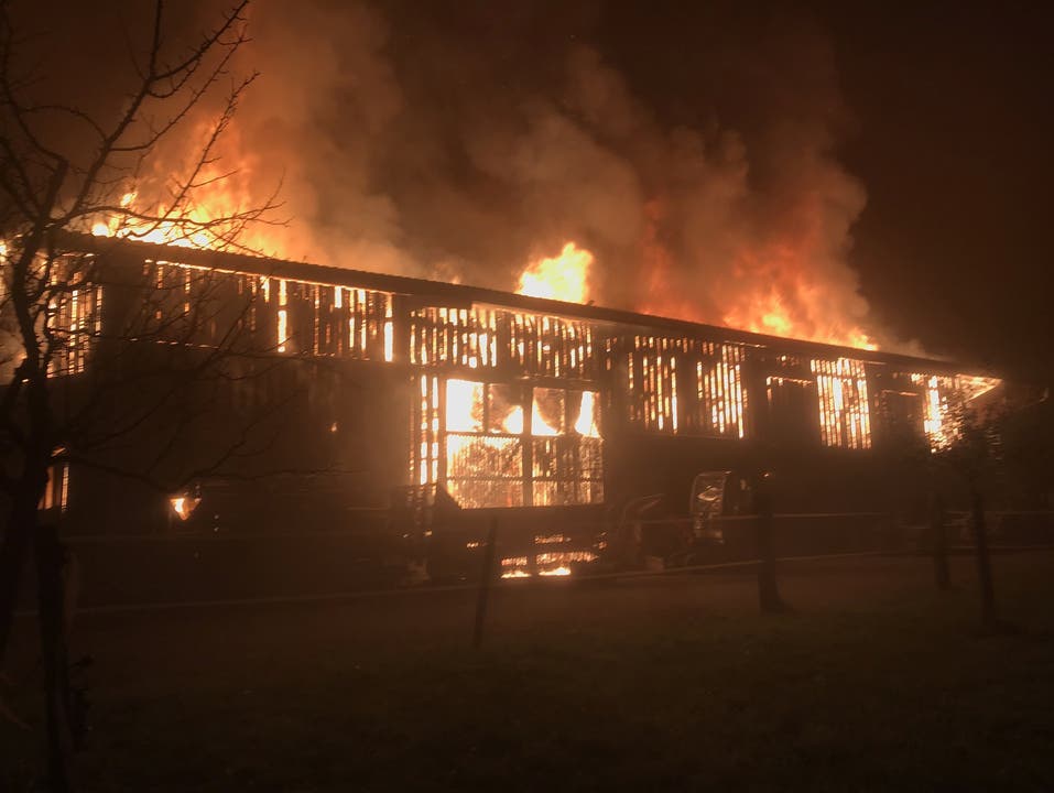 Jonen AG, 12. November In einer Halle in Jonen brach ein Brand aus. Dieser zerstörte das Gebäude. Verletzt wurde niemand.