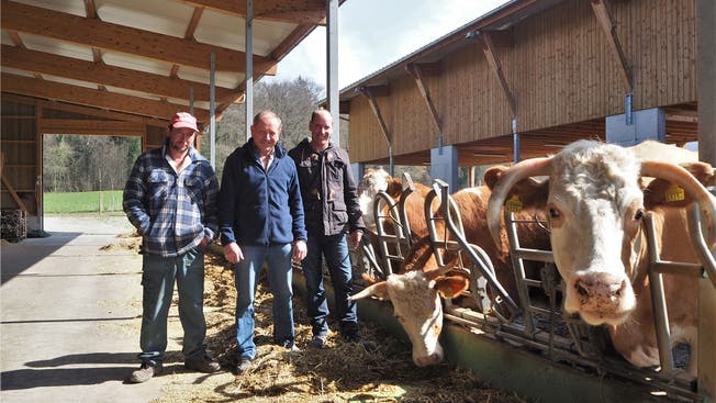 Alois Kohler mit den Söhnen Patrick (l.) und Simon (r.) im Kuhstall des neuen Bio-Betriebs am Rande von Sulz.